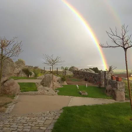 Entre Piedras Y Musgo