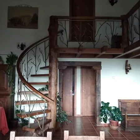 Entre Piedras Y Musgo