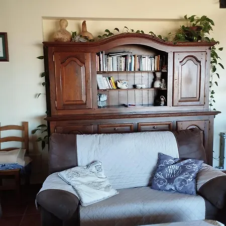 Entre Piedras Y Musgo *