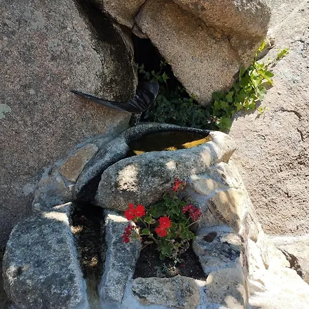 Casa de Campo Entre Piedras Y Musgo