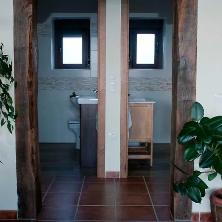 Entre Piedras Y Musgo *