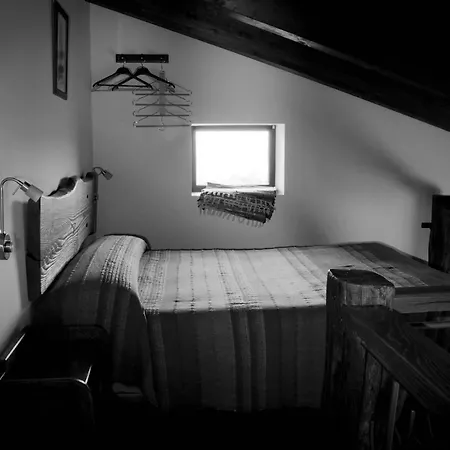 Entre Piedras Y Musgo