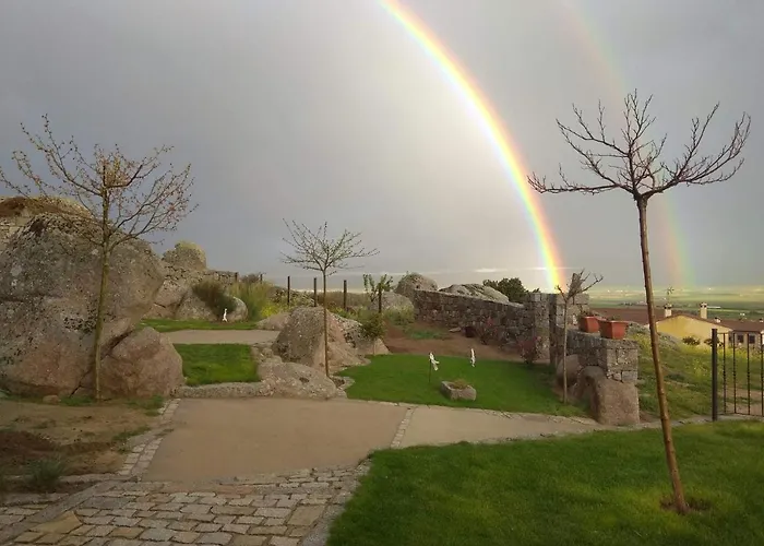 Entre Piedras Y Musgo