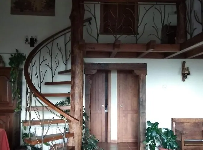 Entre Piedras Y Musgo