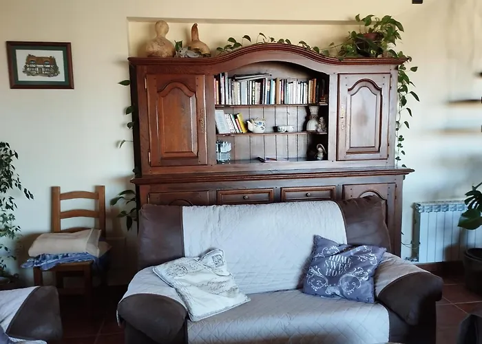 Entre Piedras Y Musgo *