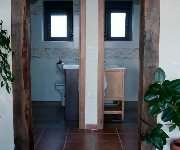 Entre Piedras Y Musgo *