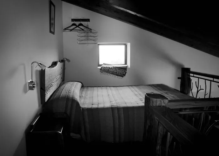 Entre Piedras Y Musgo